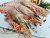 King tiger gambas 150-250g/pc