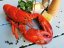 Boiled lobster 0,7 - 0,8kg