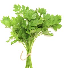 Čerstvý Koriandr svazek min.15g