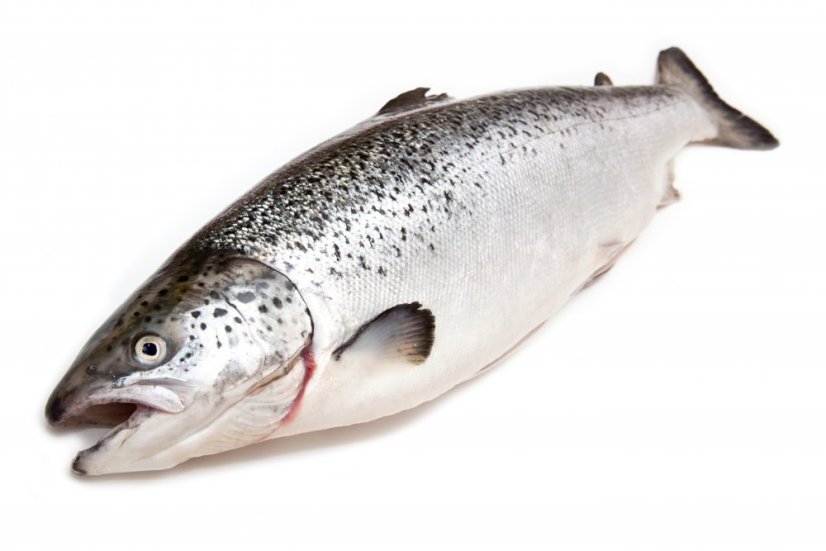 Organic atlantic salmon gutted 5-6kg - Do you want to remove the scales?: yes