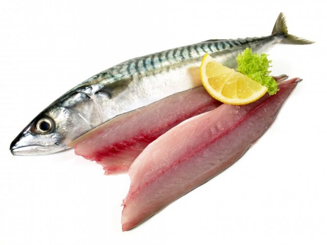Fresh atlantic mackerel fillet 100-200g - Do you want to remove the skin from the fish ??: no, Do you want to vacuum the fish?: yes