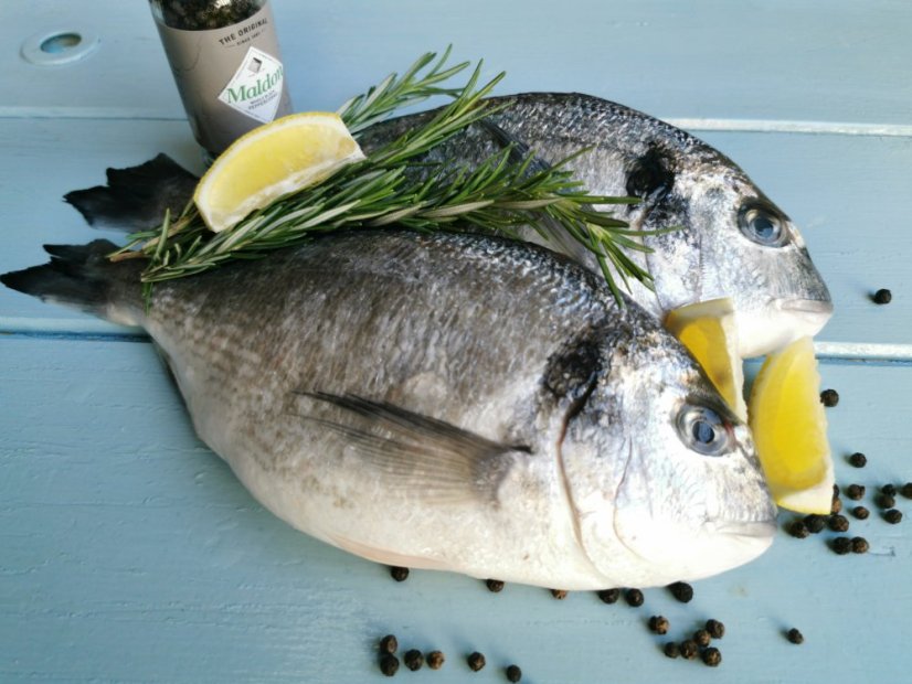 Wild Gilthead seabream 800-1000g