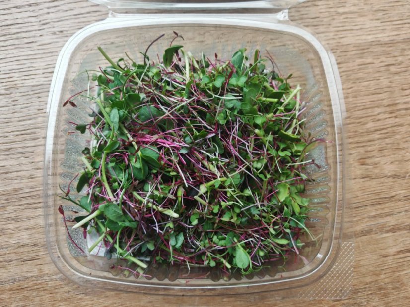 Microgreens fine mix with Amaranth 50g