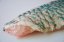 Parrot fish fillet with skin