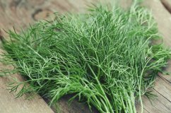 Fresh Dill min. 15g