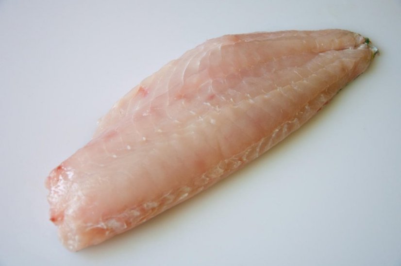 Parrot fish fillet with skin