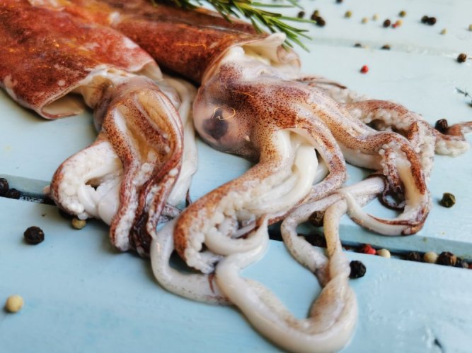 California squid 150-300g/ks - Do you want to clean the calamari?: no