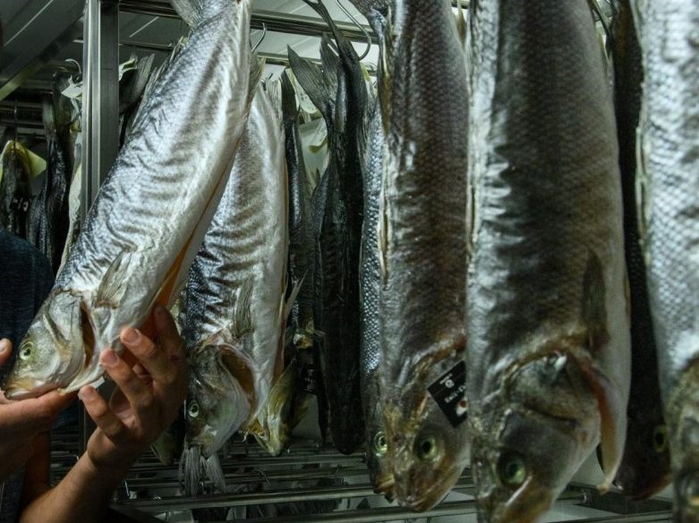 Dry Aged (stařený) divoký mořský vlk 600-800g (minimálně 14 dní stařený)