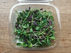 Mikrobylinky farmářský mix 50g
