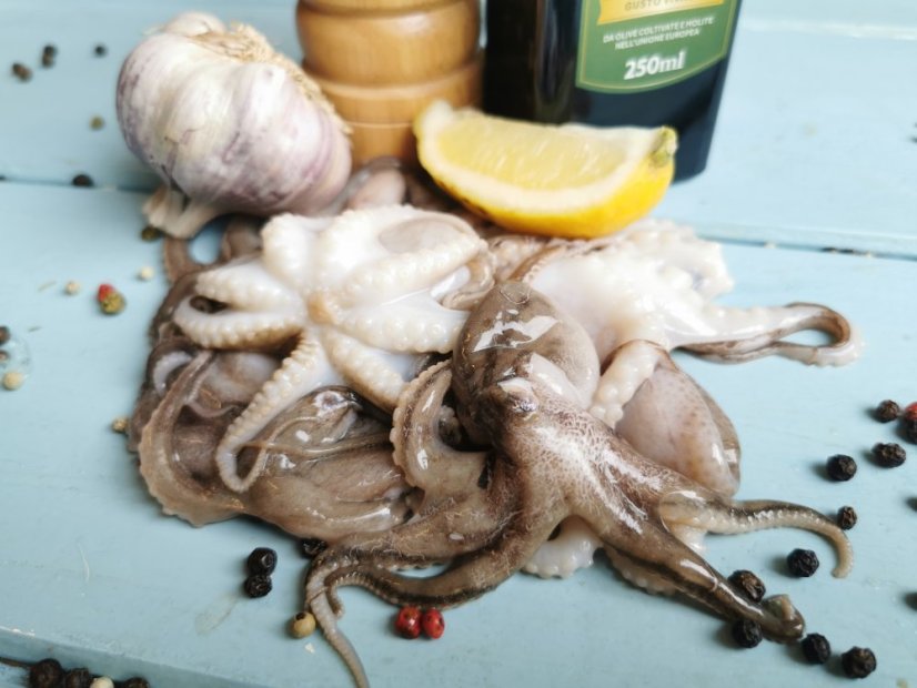 Baby octopus 20-40pc/kg 800g frozen