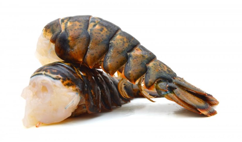Lobster tail 130-160g - Do you wish to buy the product thawed or frozen?: defrosted