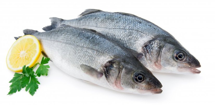 Seabass 400-600g - Do you want to gut the fish?: no, Do you want to remove the scales?: yes