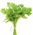 Fresh Coriander min. 15g