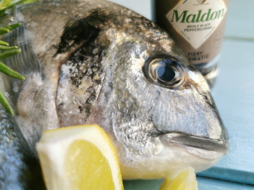Wild Gilthead seabream 800-1000g