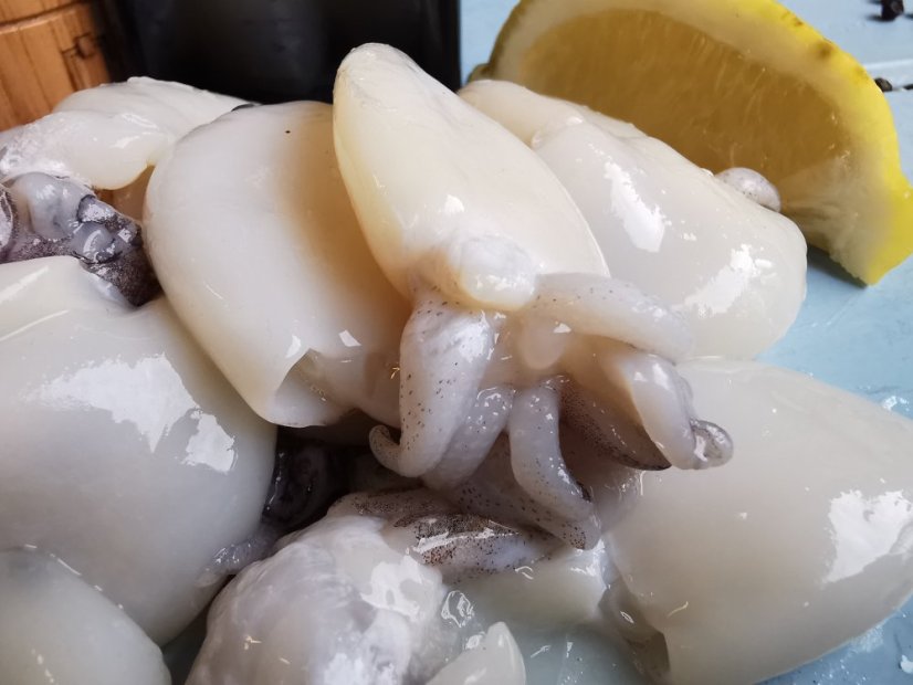 Baby cuttlefish 20-40pc/kg