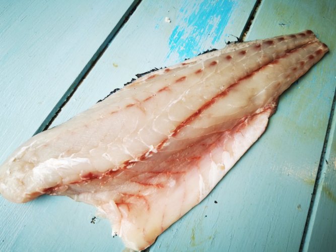 Meagre fillet with skin 500-700g - Do you want to remove the skin from the fish ??: yes, Do you want to vacuum the fish?: no