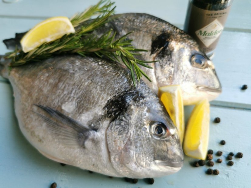 Wild Gilthead seabream 800-1000g