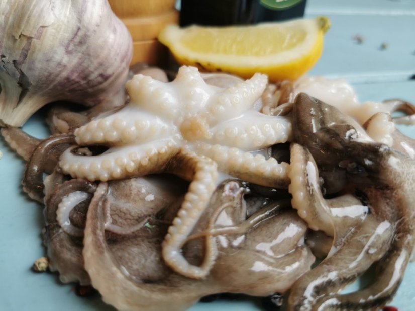 Baby octopus 20-40pc/kg 800g frozen