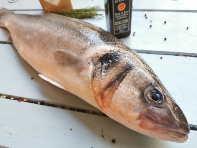 Mořský vlk divoký 1,8-2,5kg - Přejete si rybu vykuchat?: ano, Přejete si odstranit šupiny?: ano