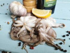 Baby chobotnice obecná čištěná 20-40ks/kg
