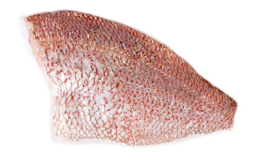 Red japanese seabream fillet 150 - 180g with skin