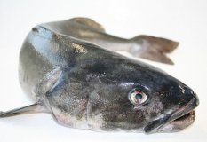 Black cod (Sable fish) with skin 400-600g