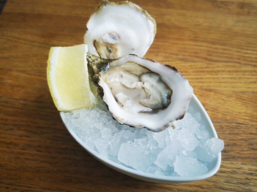 Oyster Ostra Regal N.2 (Special)