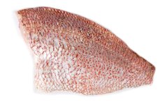 Red japanese seabream fillet 150 - 180g with skin