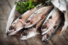 Fresh atlantic mackerel 200-500g