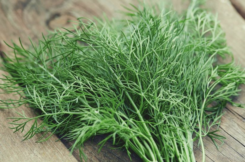 Fresh Dill min. 15g