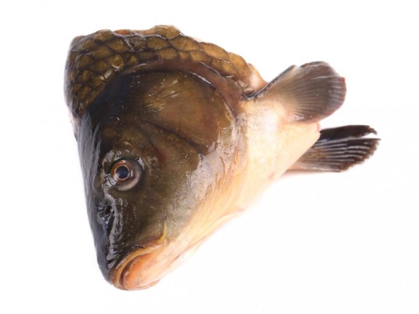 Carp head 300g