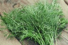 Fresh Dill min. 15g