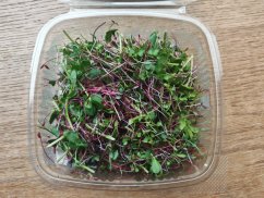 Microgreens fine mix with Amaranth 50g