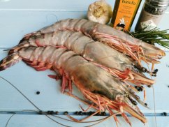 Královské tygří krevety celé 2-4ks (mražené) 800g