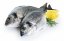 Gilthead seabream 400-600g - Do you want to gut the fish?: yes, Do you want to remove the scales?: no, Do you want to vacuum the fish?: yes