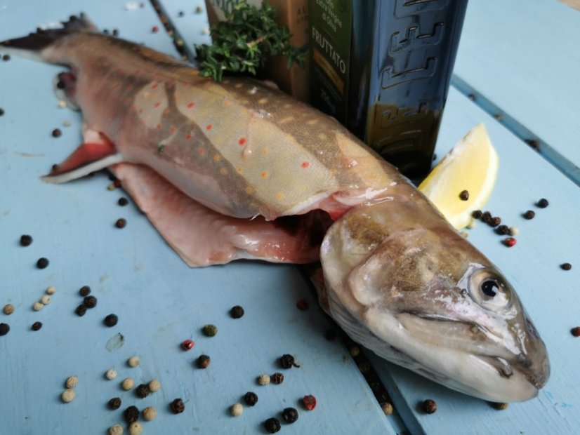 Arctic char 1000g+ - Do you want to remove the scales?: no