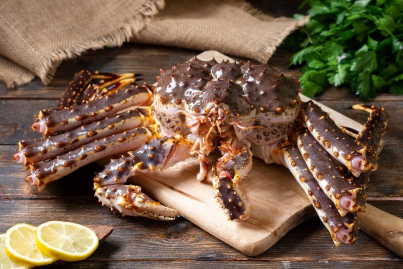 Krab kamčatský živý 2 - 4,5kg - Vyberte velikost kraba: Krab kamčatský 2,71kg