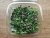 Microherbs farmer's mix 50g