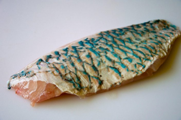 Ploskozubec (papouščí ryba) filet s kůží - Přejete si rybu stáhnout z kůže?: ano