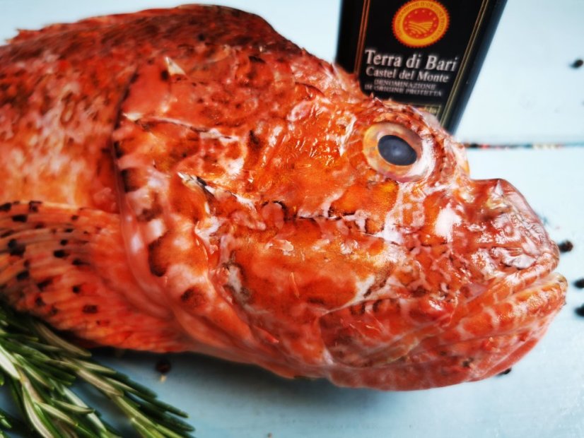 Ropušnice obecná 0,8-1,5kg - Přejete si rybu vykuchat?: ano, Přejete si odstranit šupiny?: ne