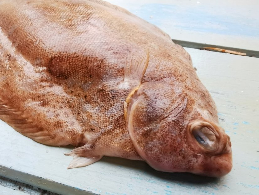 Lemon Sole 400-600g - Do you want to gut the fish?: no, Do you want to remove the scales?: yes