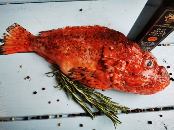 Скорпена или морской ёрш 0,8-1,5кг - Желаете выпотрошить рыбу?: нет, Желаете очистить рыбу?: да, Хотите рыбу в вакуумной упаковке?: да