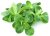 Fresh lamb lettuce 125g unwashed