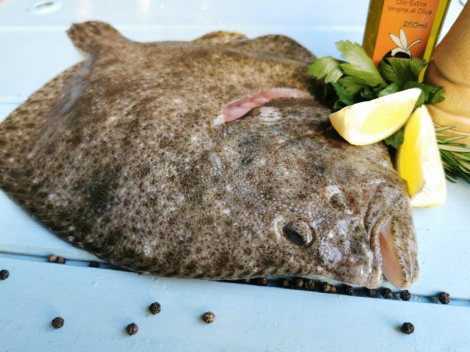 Тюрбо, камбала 1-1,5 кг - Желаете выпотрошить рыбу?: нет, Хотите рыбу в вакуумной упаковке?: да