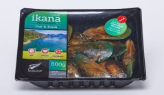Slávka zelenoústá živá 800g (Nový Zéland)