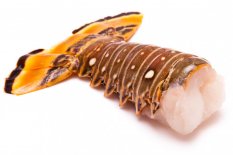 Royal spiny lobster tail 350-450g