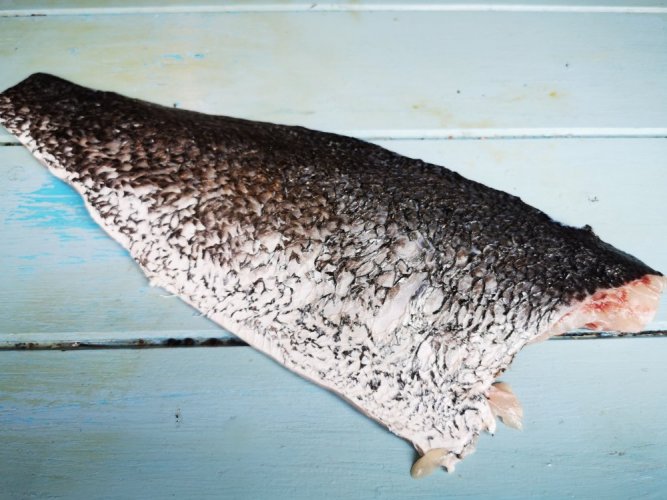Smuha královská filet s kůží 500-700g - Přejete si rybu stáhnout z kůže?: ne, Přejete si rybu zavakuovat?: ne