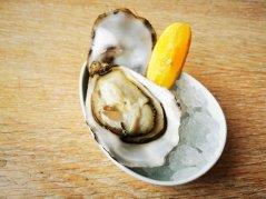 Oyster L´etoile N.2 (Super special)