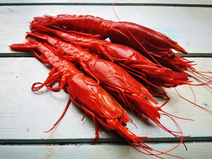 Carabinero shrimps 10-13pcs/kg