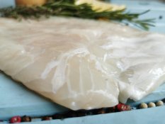 Turbot fillet with skin